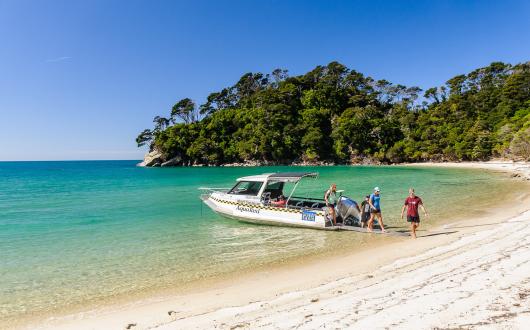 Group hopping off abel tasman aqua taxi