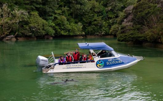 Abel Tasman Eco Boat Tours
