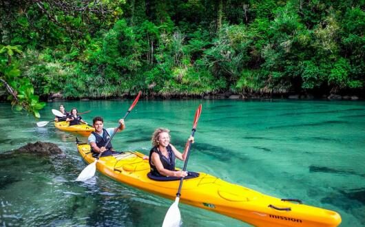 Kahu Kayaks in the Abel Tasman