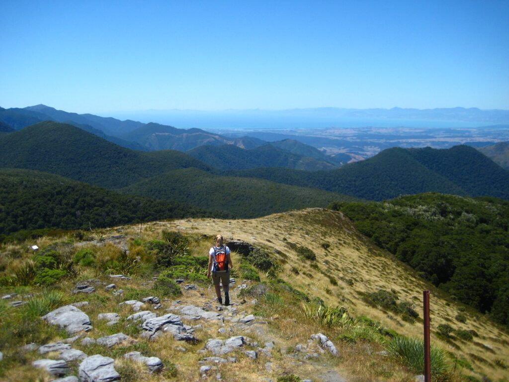 Hiking on the Mount Arthur