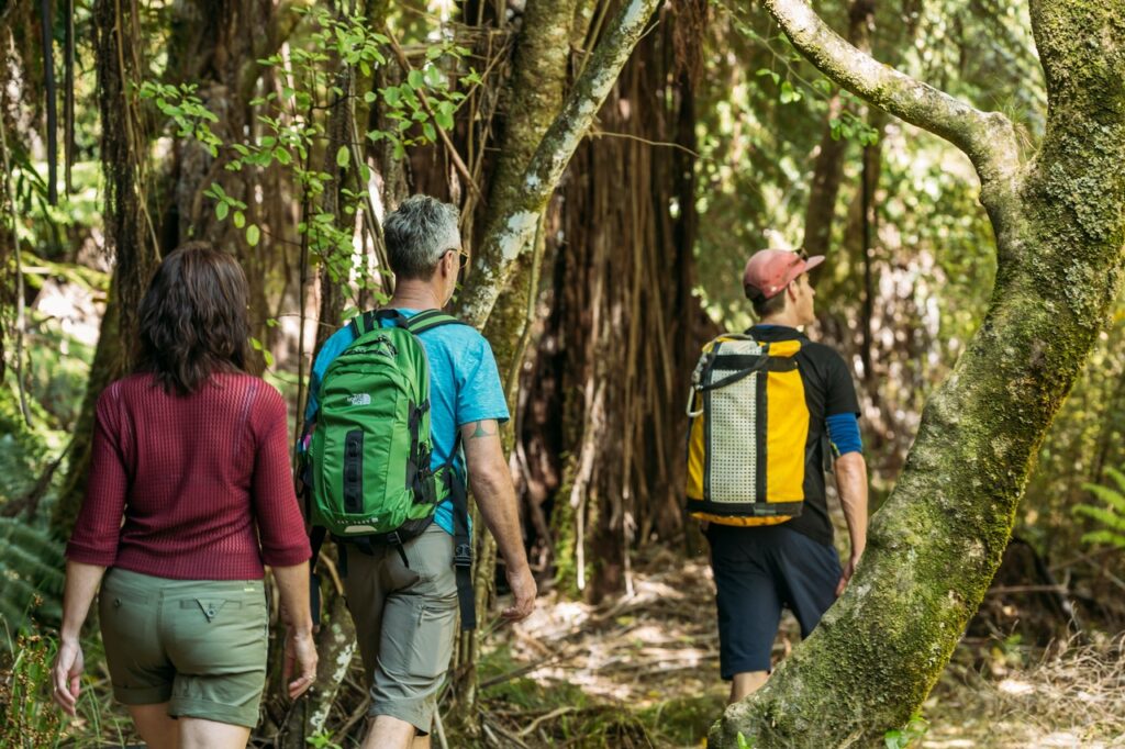 Walking the Abel Tasman