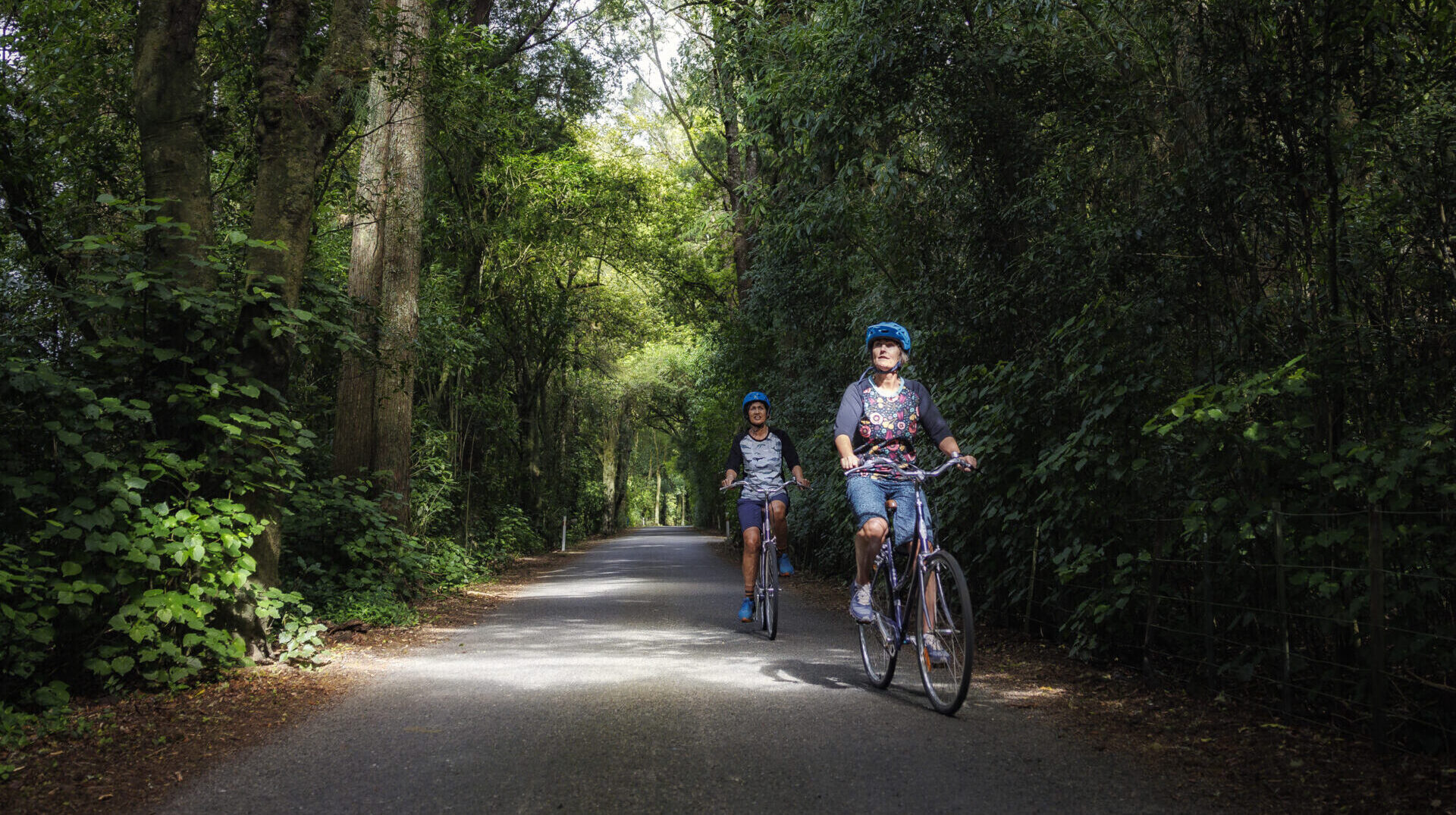 Cycling Motueka River West Bank Road On Great Taste Trail Cycling Motueka River West Bank Road On Great Taste Trail