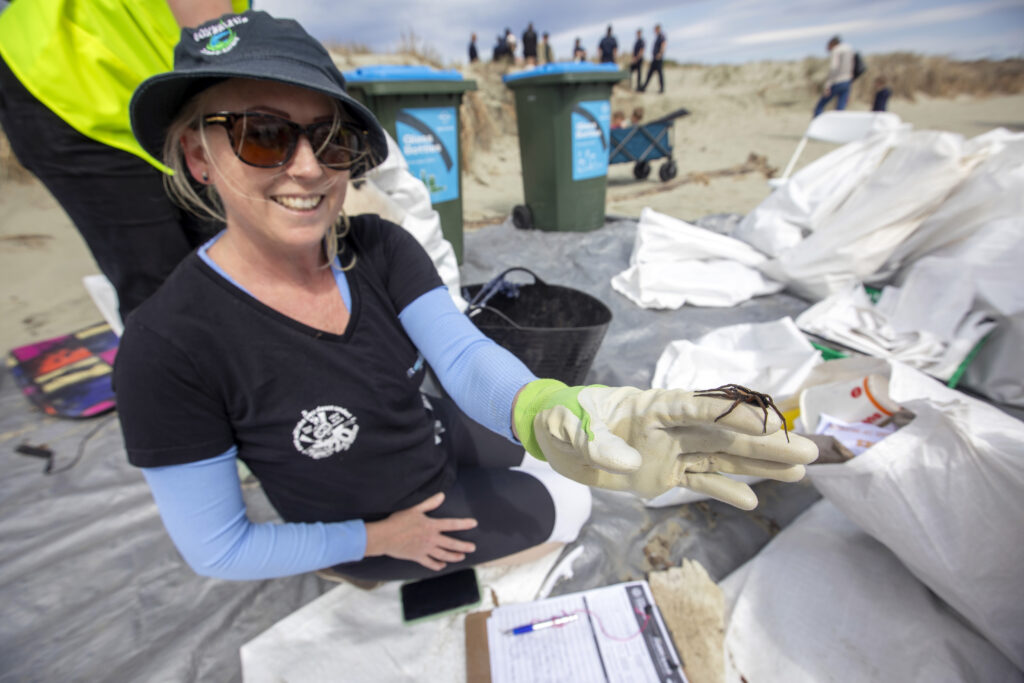 Picture by Tim Cuff 28 September 2024 - Tāhuna Beach Holiday Park clean-up at Tāhuna Beach, Nelson, New Zealand