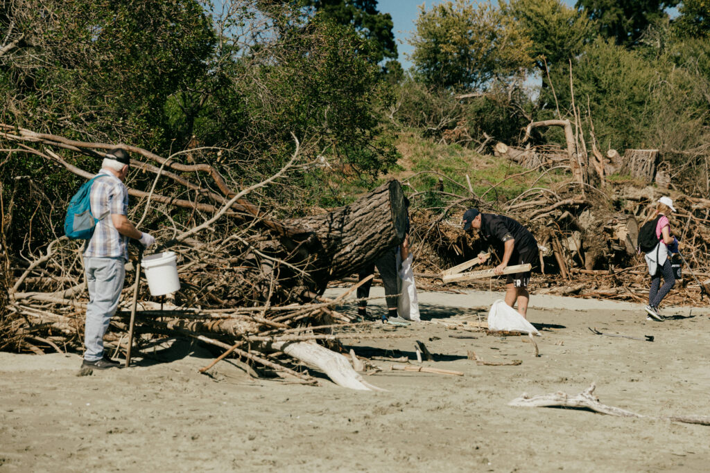The Beach Clean Up 2025