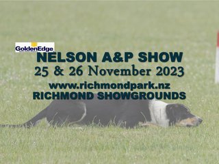 Nelson A&P Show