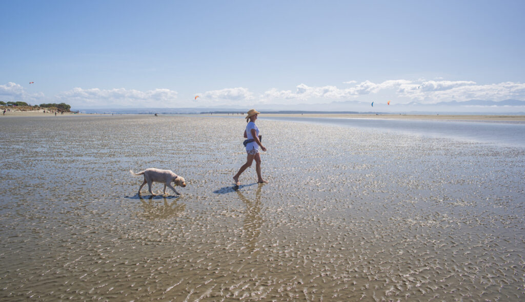 Walking Dog on Beach Print Res, taken by Oliver Weber, credit www.nelsontasman.nz