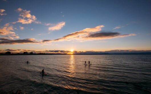 Paddleboarding Into The Sunset at Tahunanui Beach Landscape