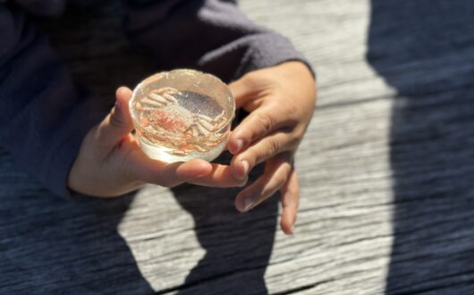 Marine discovery workshop