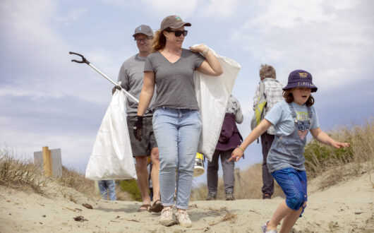 Picture by Tim Cuff 28 September 2024 - Tāhuna Beach Holiday Park clean-up at Tāhuna Beach, Nelson, New Zealand