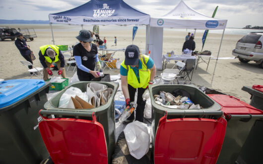 Picture by Tim Cuff 28 September 2024 - Tāhuna Beach Holiday Park clean-up at Tāhuna Beach, Nelson, New Zealand