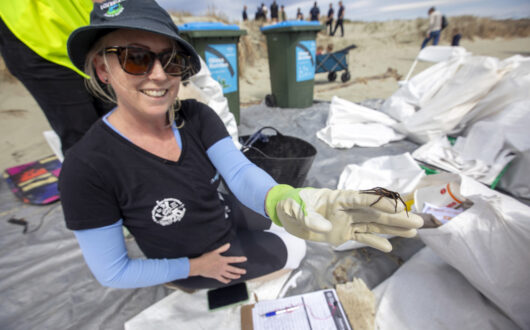 Picture by Tim Cuff 28 September 2024 - Tāhuna Beach Holiday Park clean-up at Tāhuna Beach, Nelson, New Zealand