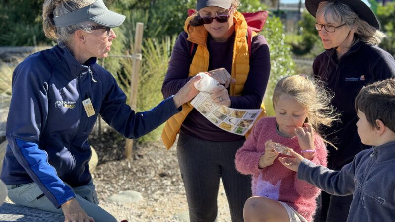 Marine Discovery Workshop Summer 23/24