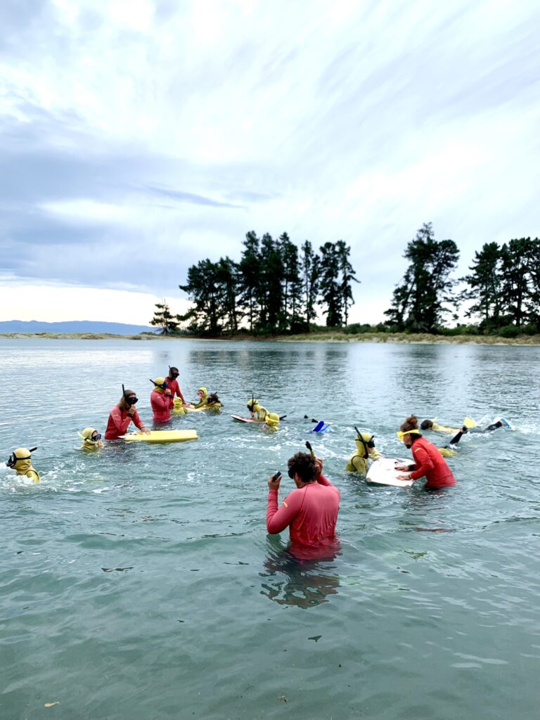 Mana Whaitake o Whakatū