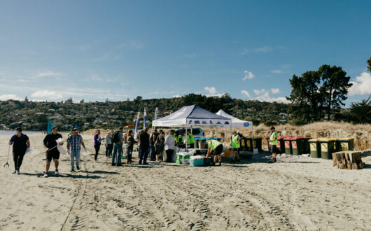 The Beach Clean Up 2025