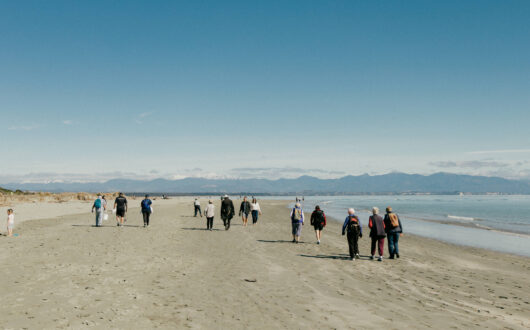 The Beach Clean Up 2025
