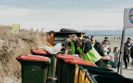 The Beach Clean Up 2025