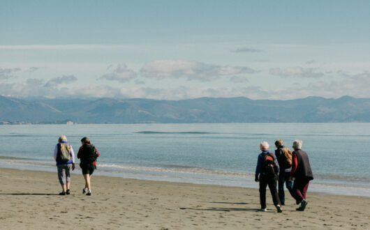 The Beach Clean Up 2025