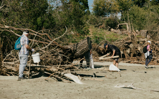 The Beach Clean Up 2025