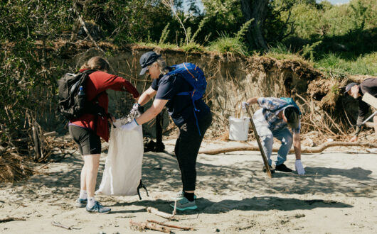 The Beach Clean Up 2025