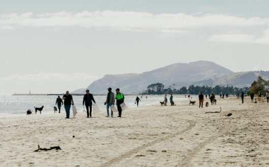 250920_TBHP_BeachCleanUp2025_DE_49