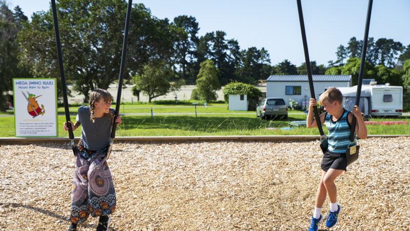 Mega Swing